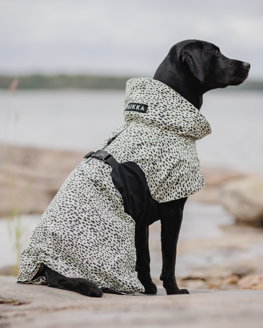 PAIKKA Raincoat  2.0