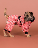 PAIKKA Hunderegenanzug Rot