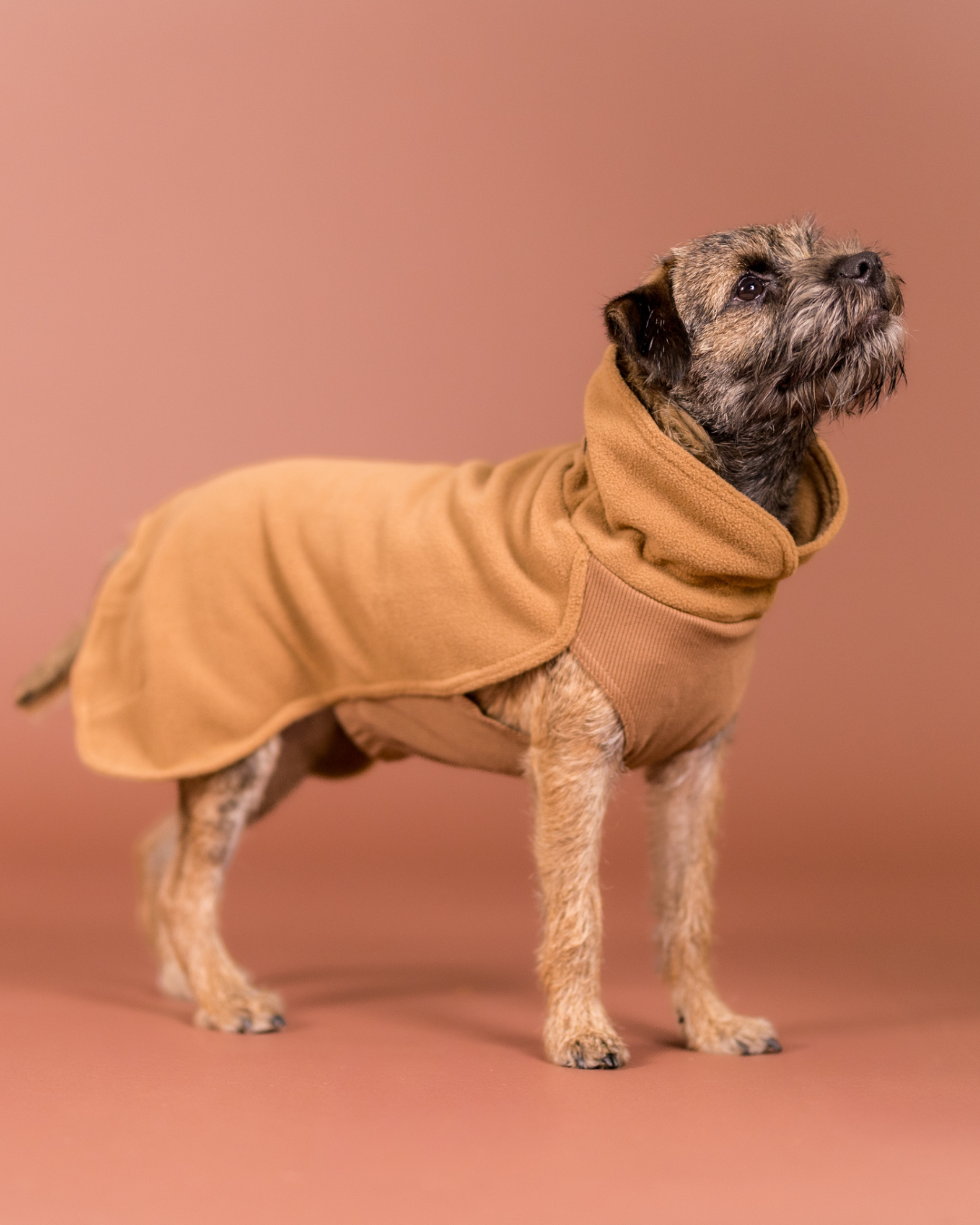 PAIKKA Seawool Shirt for Dogs Brown