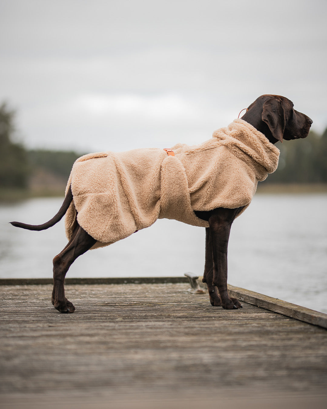 Chemise Sherpa PAIKKA Taupe
