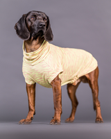 PAIKKA UV & Bug Shirt Matcha