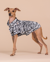 PAIKKA SS25 UV & Bug Shirt