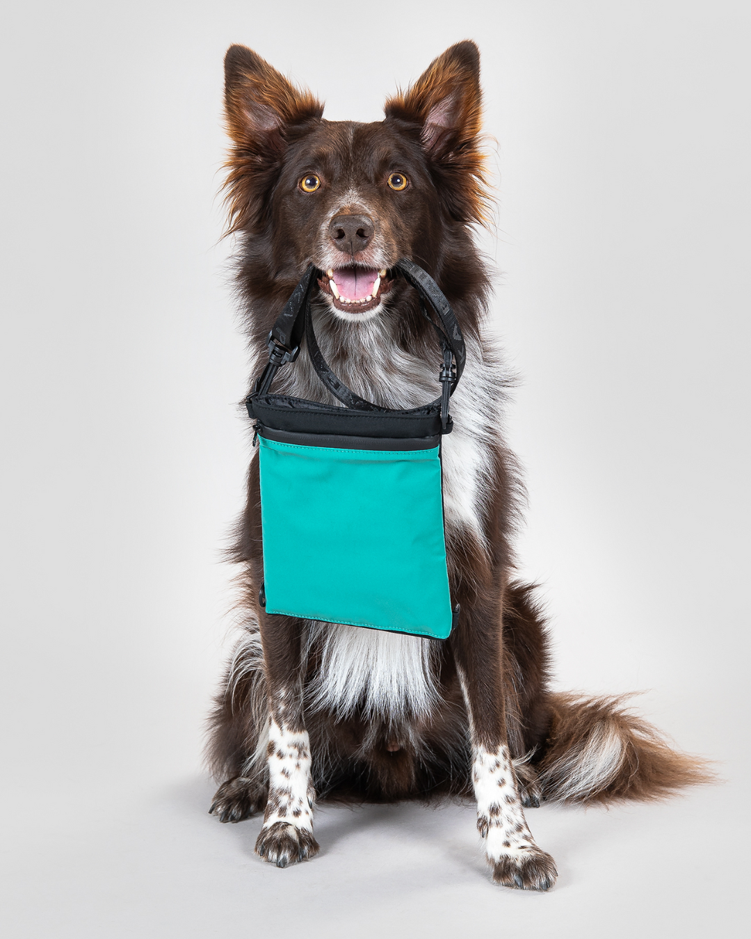 PAIKKA Visibility Treat Pouch Emerald