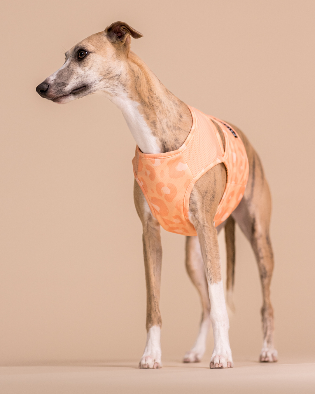 PAIKKA Cool Vest Peach