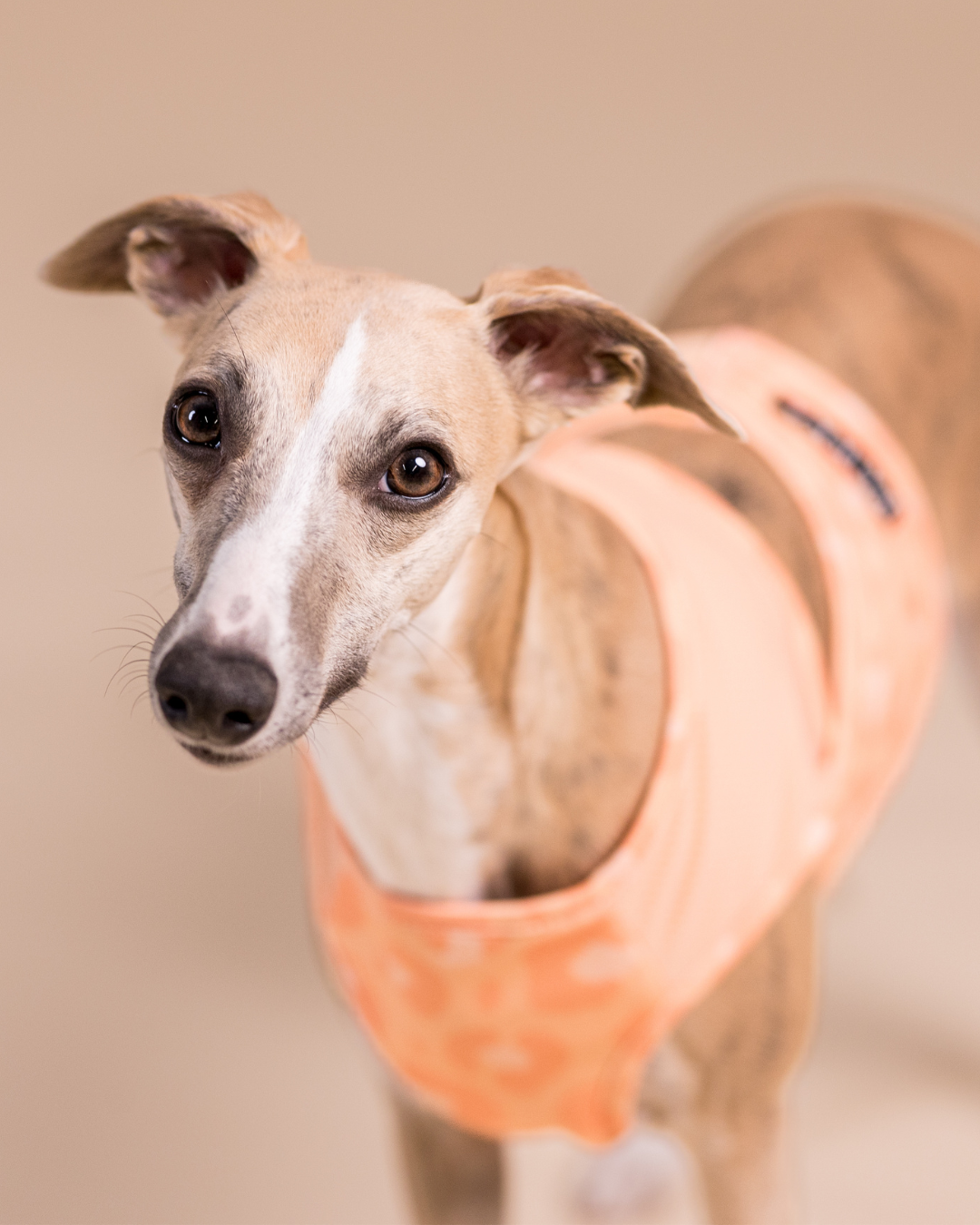 PAIKKA Cool Vest Peach