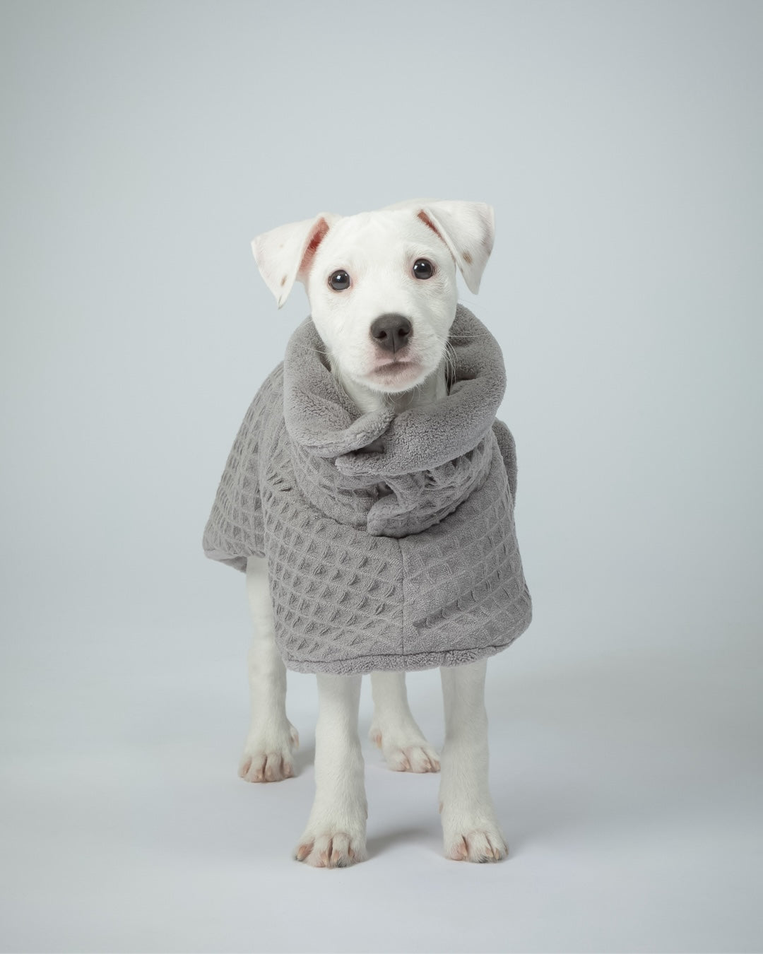 Drying Coat Spa Grey for Dogs