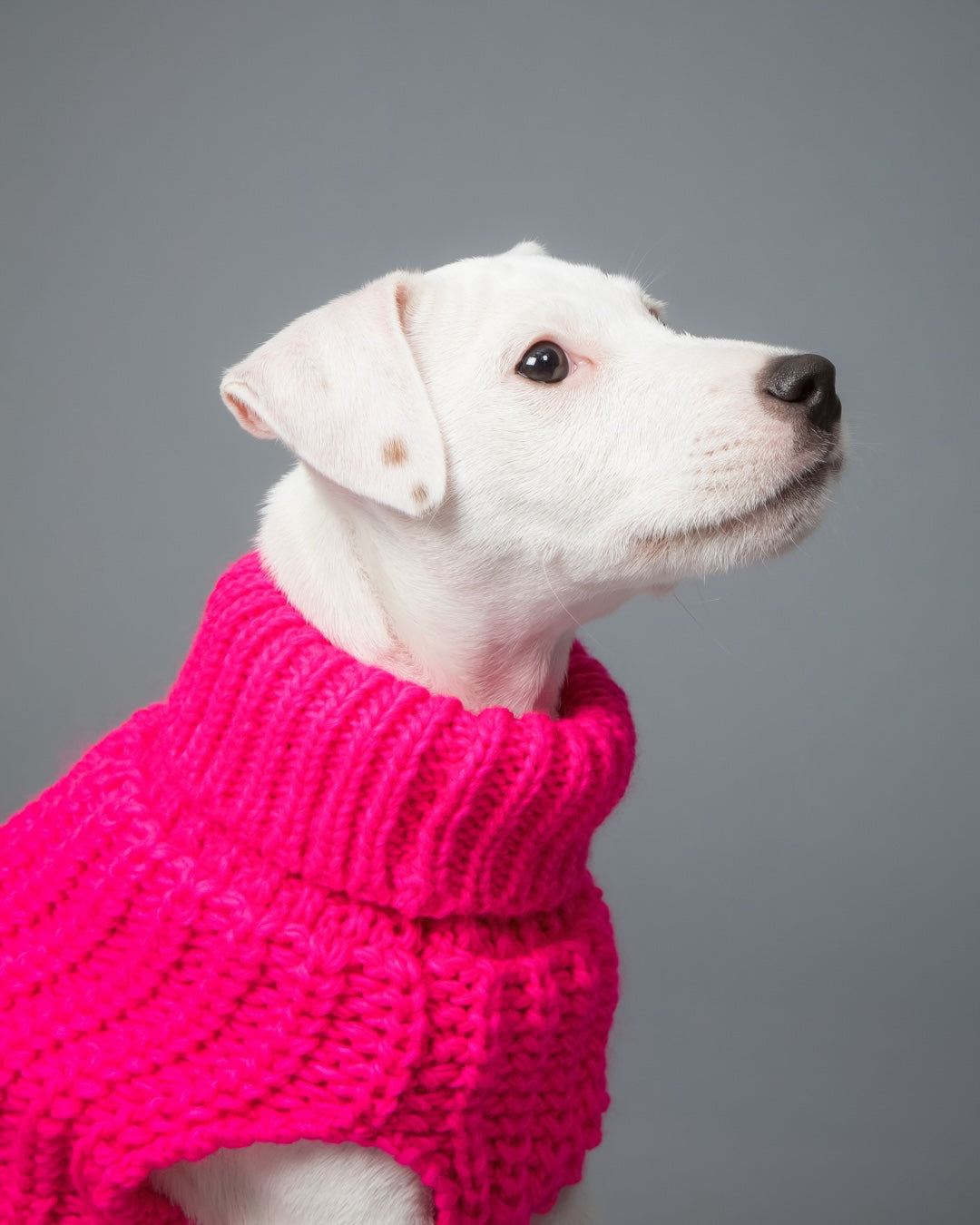 PAIKKA Knit Sweater Hot Pink