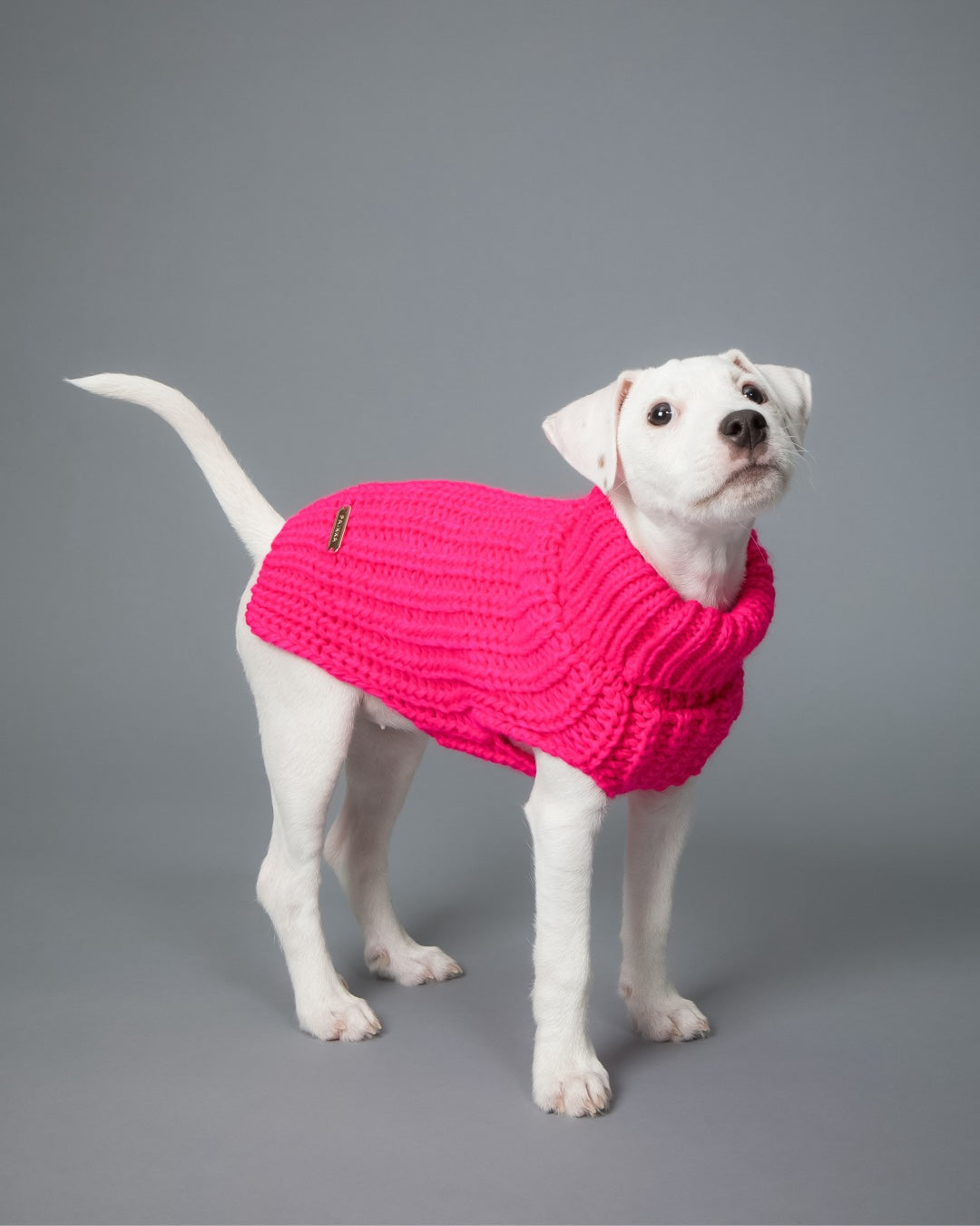 Hunde-Strickpullover Pink
