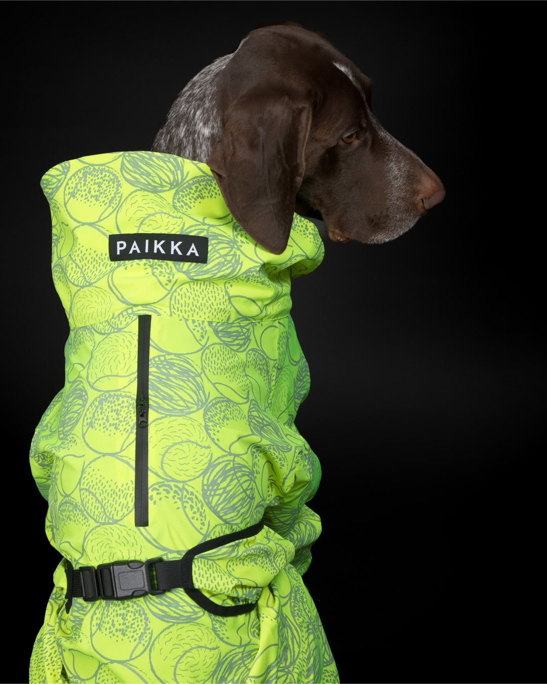 All in one rain suit store for dogs