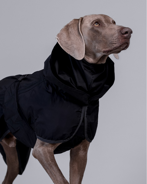 Wasserdichter Hundemantel Von Animate – Gepolstert & In Schwarz, Für Kleine Und Große Hunde