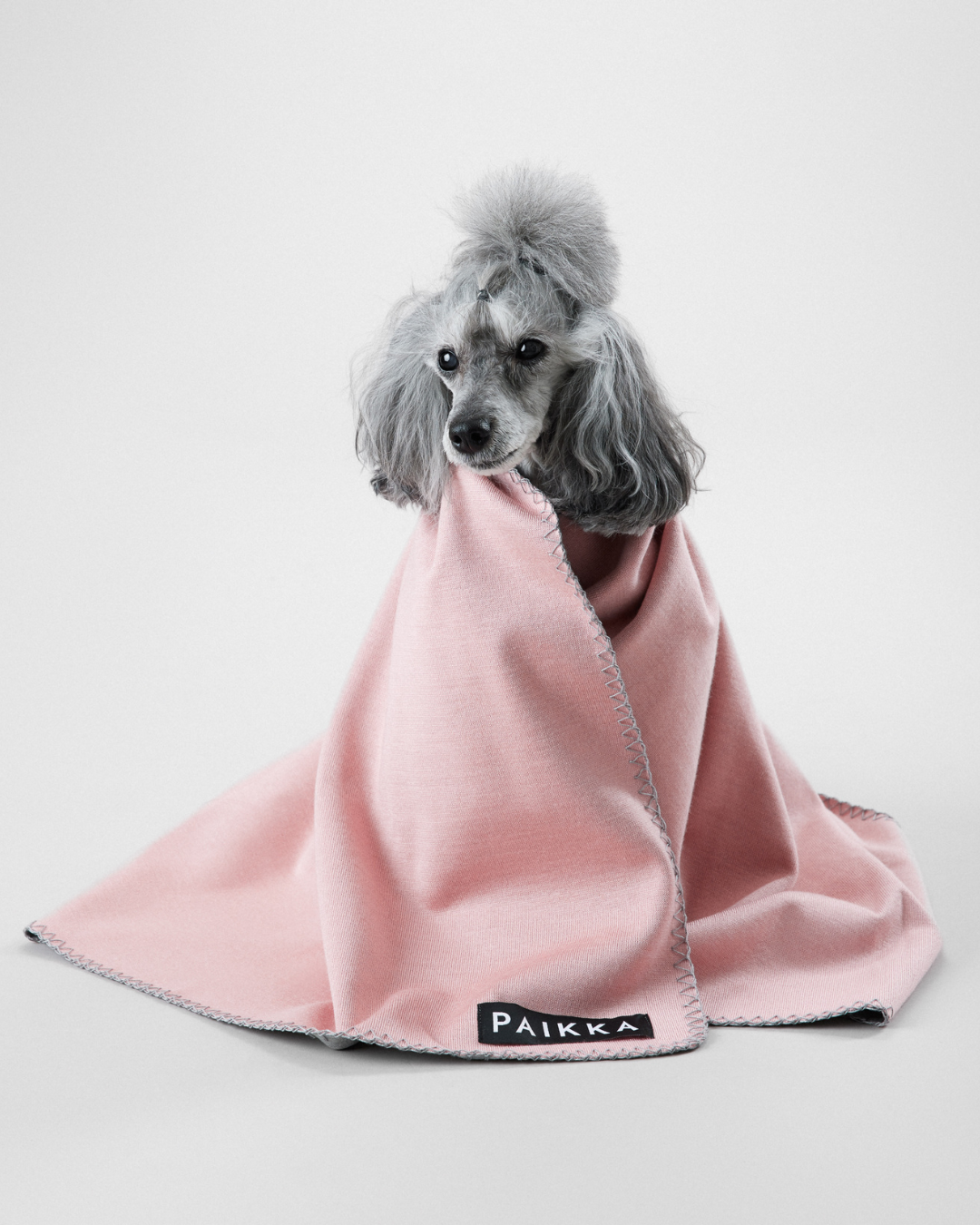Hunde-Plaid Recovery / Pink