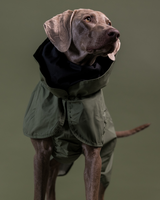 PAIKKA Imperméable Réfléchissant Vert