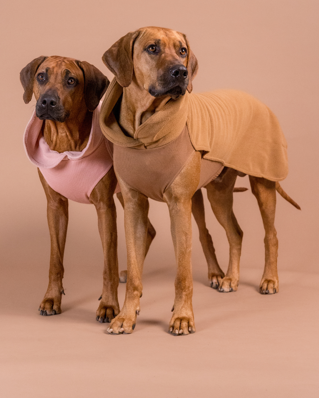 2 Hunde-Shirts In Rosa & Blau, Größe S – Atmungsaktiv, Mit Rüschen, Dehnbar, Für Kleine Hunde & Katzen
