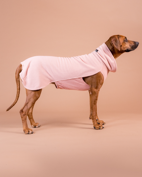 2 Hunde-Shirts In Rosa & Blau, Größe S – Atmungsaktiv, Mit Rüschen, Dehnbar, Für Kleine Hunde & Katzen