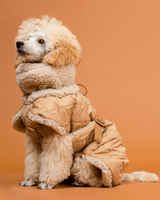 PAIKKA Sherpa Hunde Steppjacke Camel
