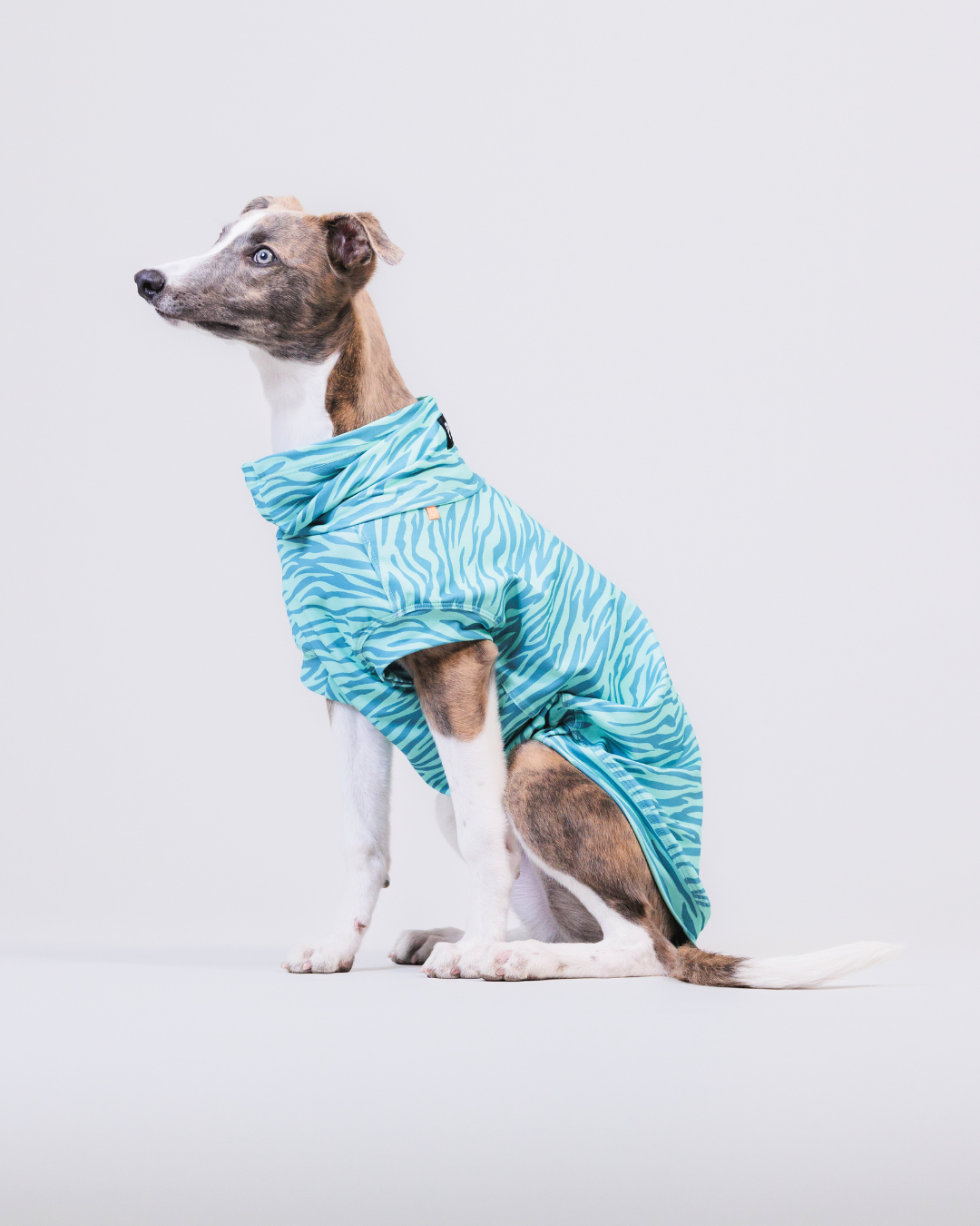 PAIKKA UV & Bug Shirt Teal