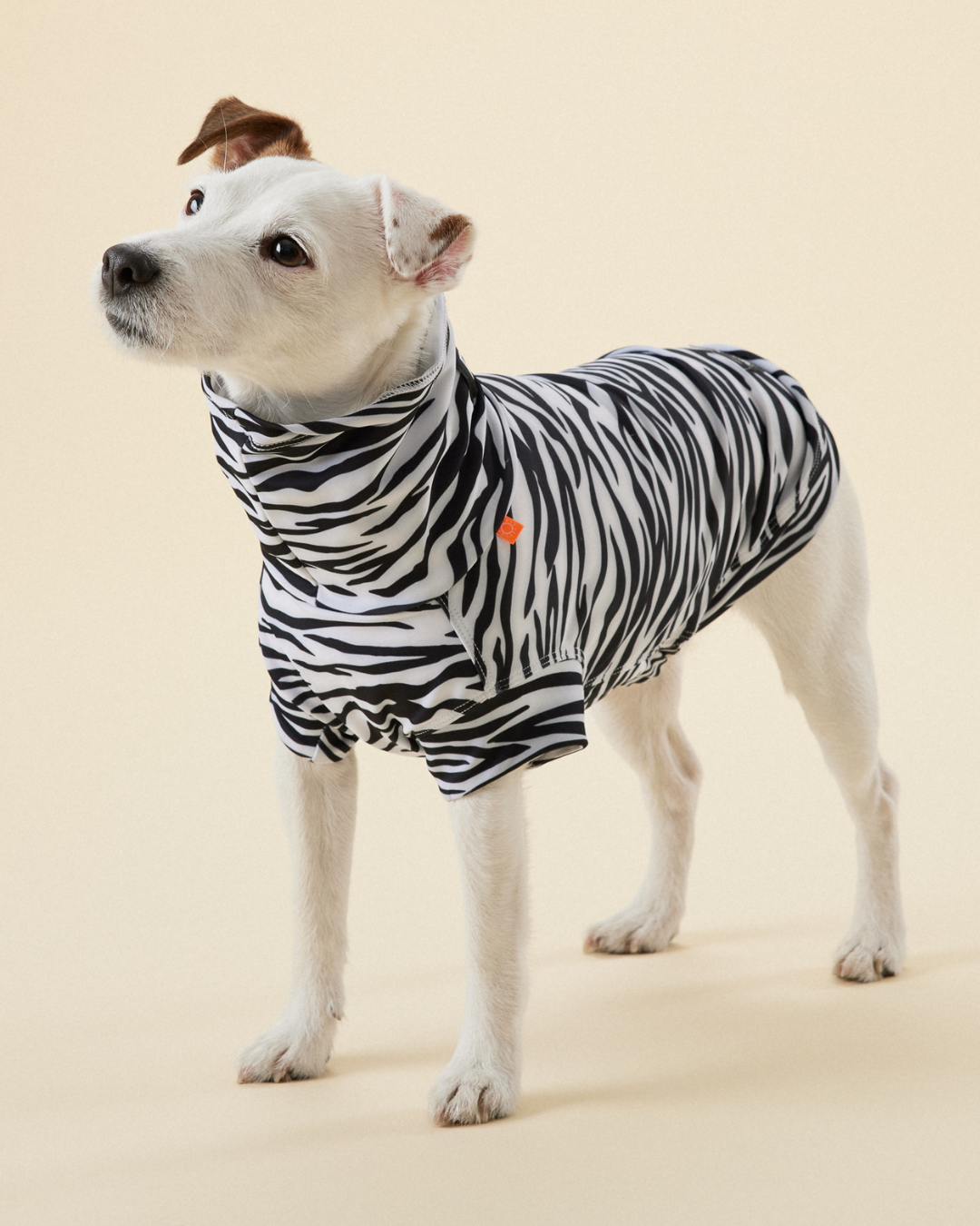Hunde-Shirt UV&Bug 