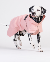 PAIKKA Visibility Raincoat Lite for Dogs Rose
