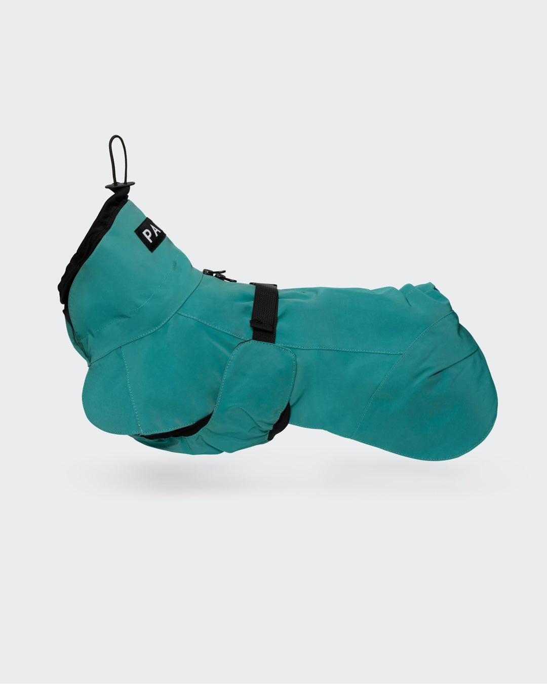 Visibility Raincoat Emerald for Dogs