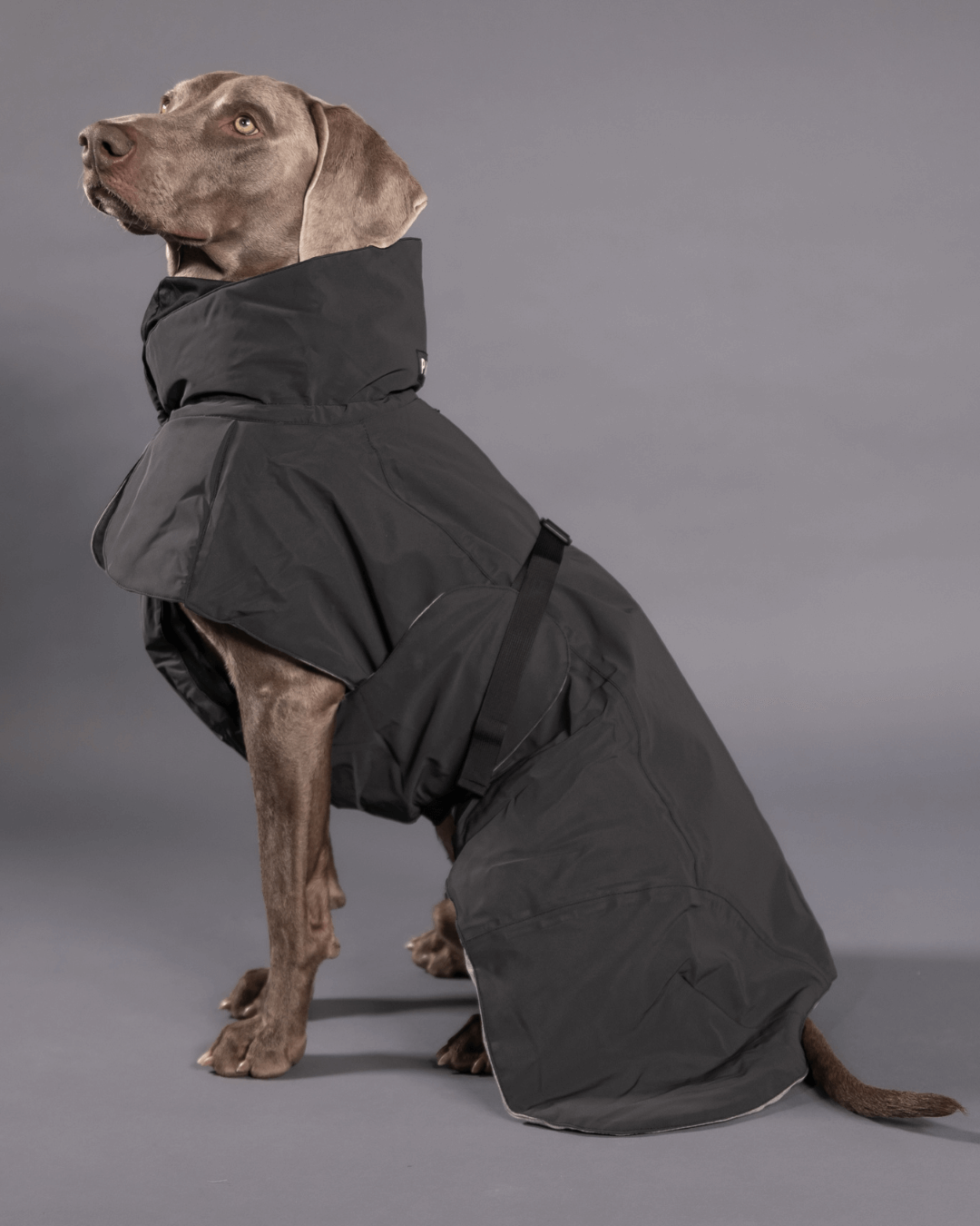 Hochreflektierende Hundewinterjacke / Dunkel