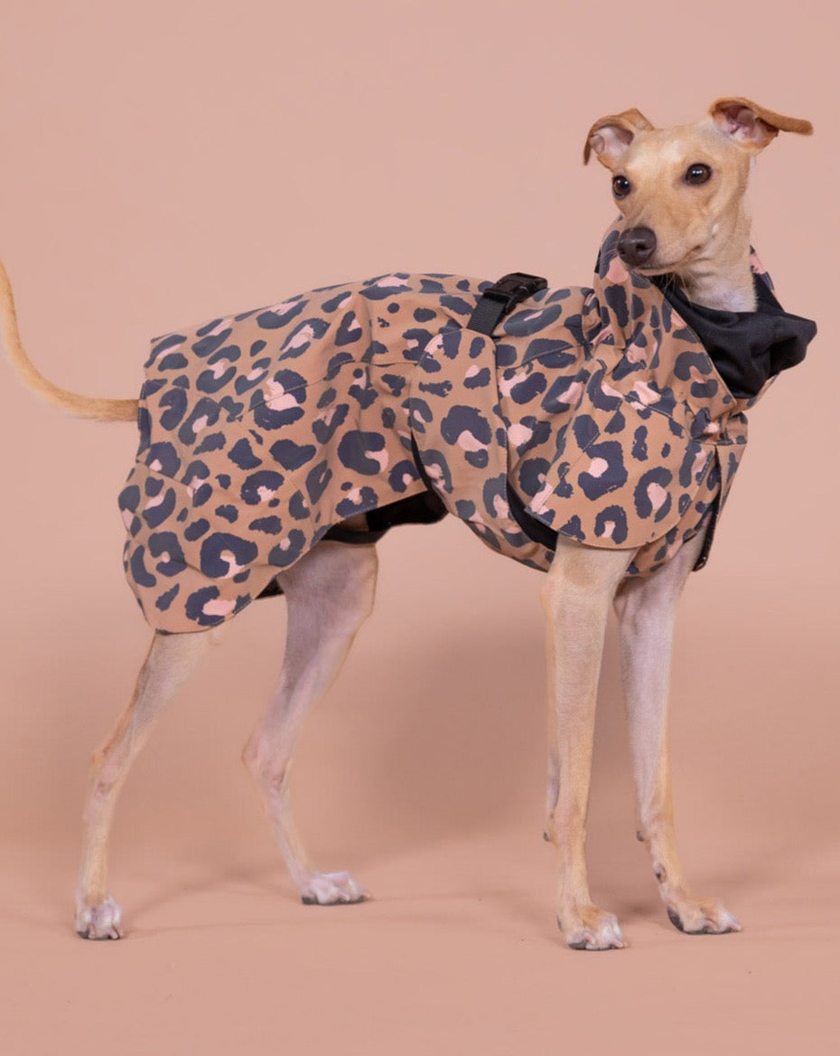 Visibility Raincoat Lite Leopard for Dogs