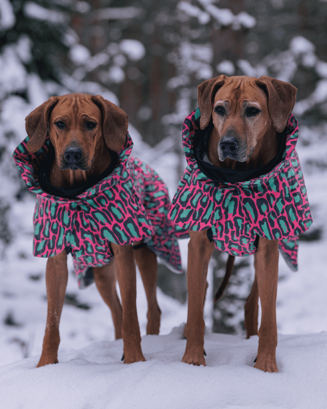 PAIKKA Manteau d'hiver Visibility Jungle