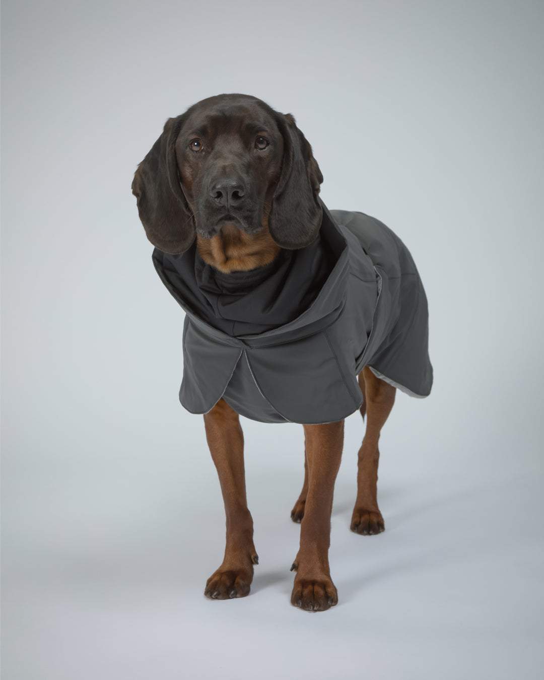 Visibility Winter Jacket Dark for Dogs