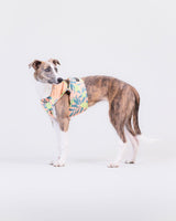 PAIKKA Cool Vest Peach Lemon