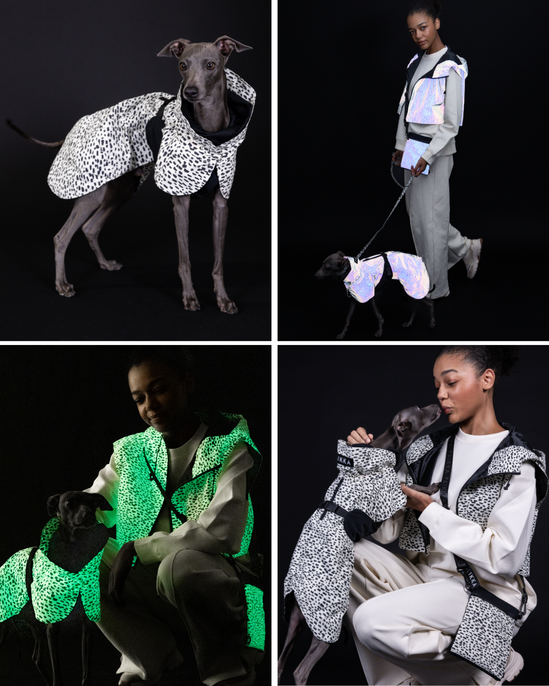 2.0 Bundle for Dog & Human