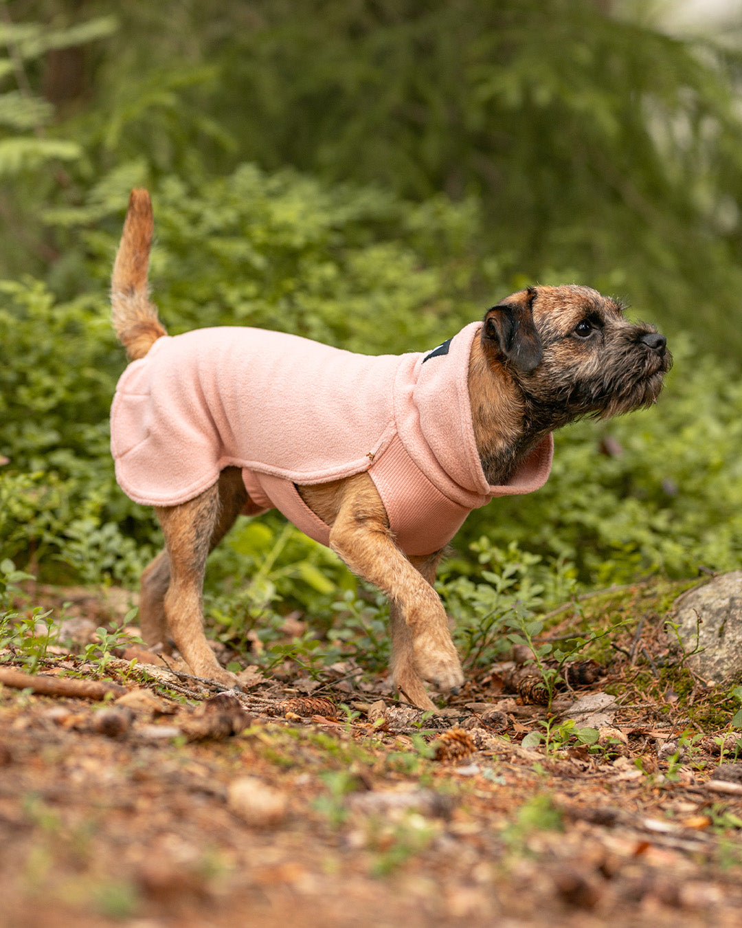 Seawool Shirt Pale Pink NEW