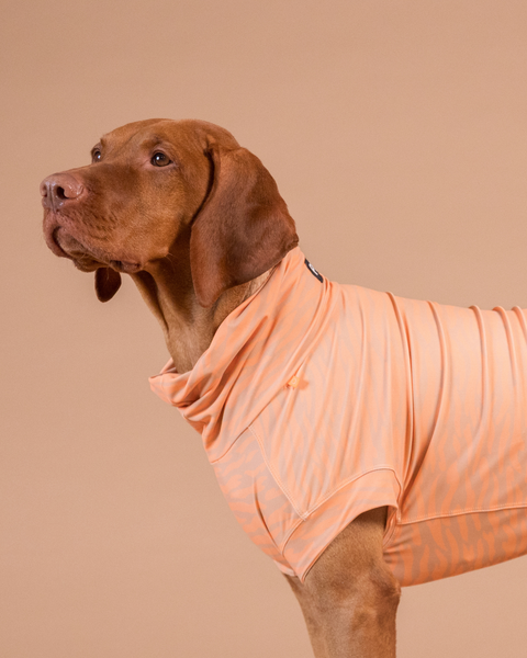 犬服♡ ピーチ UV & Bug Shirt Peach – PAIKKA