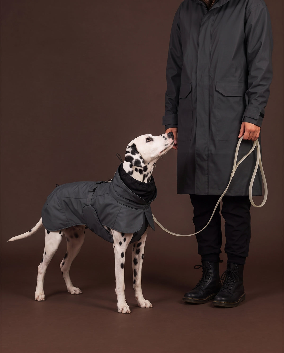 Visibility Bundle Dark for Dog & Human