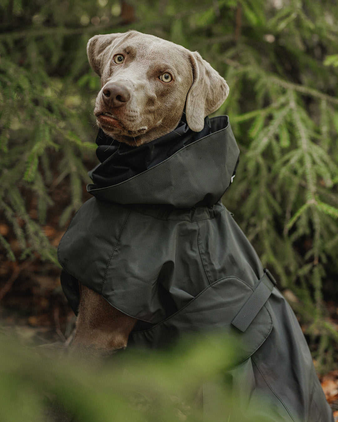 Visibility Raincoat Seawool Dark NEW