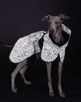 Raincoat 2.0