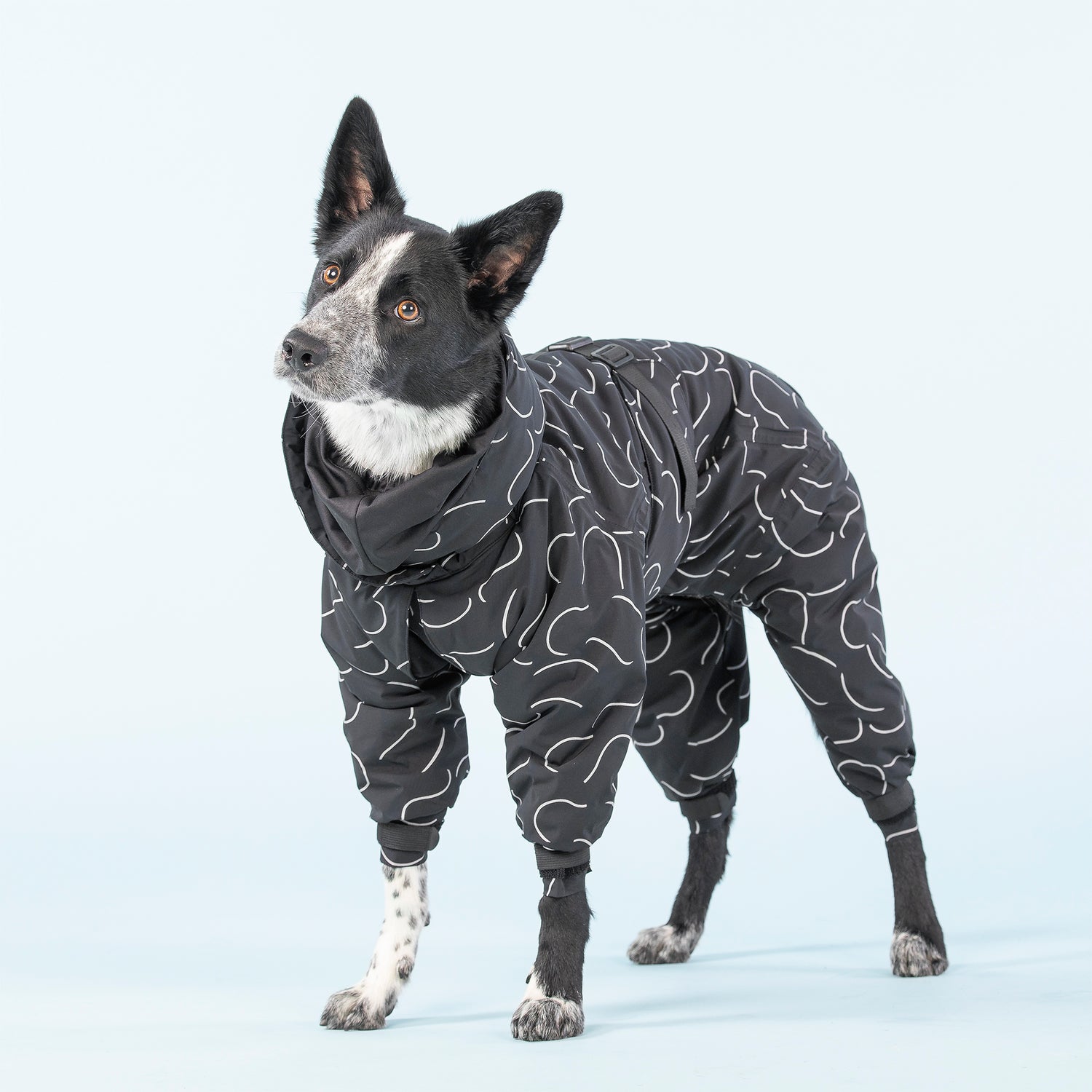 Winter Suit for Dogs
